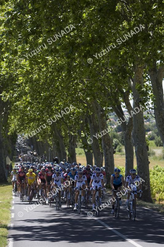 Peloton003p.jpg